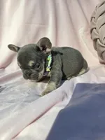 processed/f2425f60-efd2-448d-80b0-e1eadba984d9/listing/fd666e38-ecd2-45ae-8d22-e441cdec4dfd/8add9603-9896-4f9d-acff-87b676387b65