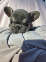 processed/f2425f60-efd2-448d-80b0-e1eadba984d9/listing/fd666e38-ecd2-45ae-8d22-e441cdec4dfd/9f489665-4305-4bfa-9370-d4b480af24f7