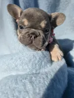 processed/f2425f60-efd2-448d-80b0-e1eadba984d9/listing/fd666e38-ecd2-45ae-8d22-e441cdec4dfd/e832843e-c92f-4de4-b9dd-e90351050315