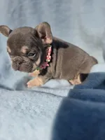 processed/f2425f60-efd2-448d-80b0-e1eadba984d9/listing/fd666e38-ecd2-45ae-8d22-e441cdec4dfd/f49e4010-1b60-4033-a197-1c5eaa97481e