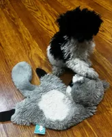 Rosebud , a female Bichpoo for sale in Knox, PA – 6 of 6