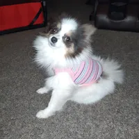 processed/f246addf-228e-4fe1-882a-8cc3d8a90de8/facility/23be55b4-1f44-41a1-9606-3291b5404a05