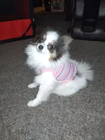 processed/f246addf-228e-4fe1-882a-8cc3d8a90de8/facility/23be55b4-1f44-41a1-9606-3291b5404a05