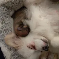 processed/f246addf-228e-4fe1-882a-8cc3d8a90de8/facility/2d0c1a9c-0941-4a9a-a372-290d7b8bc967