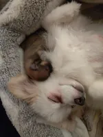 processed/f246addf-228e-4fe1-882a-8cc3d8a90de8/facility/2d0c1a9c-0941-4a9a-a372-290d7b8bc967