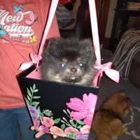 processed/f246addf-228e-4fe1-882a-8cc3d8a90de8/facility/87cf0c66-33a3-40d6-b1d8-fe8f707d76ca