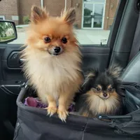 processed/f246addf-228e-4fe1-882a-8cc3d8a90de8/facility/88b88bb4-2009-4d20-9eb4-240a0b2b753f