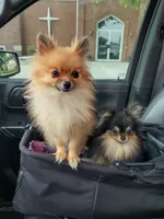 processed/f246addf-228e-4fe1-882a-8cc3d8a90de8/facility/88b88bb4-2009-4d20-9eb4-240a0b2b753f