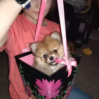 processed/f246addf-228e-4fe1-882a-8cc3d8a90de8/facility/bcc5ca27-703e-4352-a00b-4bde25ba06d1