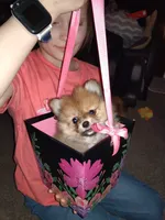 processed/f246addf-228e-4fe1-882a-8cc3d8a90de8/facility/bcc5ca27-703e-4352-a00b-4bde25ba06d1