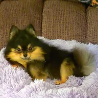 processed/f246addf-228e-4fe1-882a-8cc3d8a90de8/facility/fdac88dc-e512-43c7-b4fc-4347db84e82b