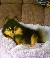 processed/f246addf-228e-4fe1-882a-8cc3d8a90de8/facility/fdac88dc-e512-43c7-b4fc-4347db84e82b