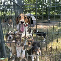 processed/f2502cd2-2de8-44aa-9ed4-24bd2d08ae5a/facility/0fc51579-8ca6-482f-a43d-17374b0e717f