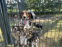 processed/f2502cd2-2de8-44aa-9ed4-24bd2d08ae5a/facility/0fc51579-8ca6-482f-a43d-17374b0e717f