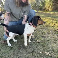 processed/f2502cd2-2de8-44aa-9ed4-24bd2d08ae5a/facility/6c7abd3e-3710-4ae6-bba3-4aeb5949705b