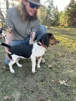 processed/f2502cd2-2de8-44aa-9ed4-24bd2d08ae5a/facility/6c7abd3e-3710-4ae6-bba3-4aeb5949705b