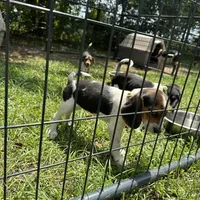 processed/f2502cd2-2de8-44aa-9ed4-24bd2d08ae5a/facility/6f917fa9-18dc-4add-9237-0635dd2d1691