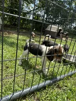 processed/f2502cd2-2de8-44aa-9ed4-24bd2d08ae5a/facility/6f917fa9-18dc-4add-9237-0635dd2d1691