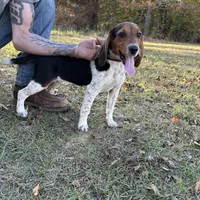 processed/f2502cd2-2de8-44aa-9ed4-24bd2d08ae5a/facility/7d3e3cd5-5a5d-4302-b2be-7d88c0fa6aa9