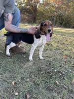 processed/f2502cd2-2de8-44aa-9ed4-24bd2d08ae5a/facility/7d3e3cd5-5a5d-4302-b2be-7d88c0fa6aa9