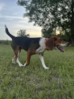 processed/f2502cd2-2de8-44aa-9ed4-24bd2d08ae5a/facility/92a5a31e-e5f3-47a2-acb3-da82124c7c6e