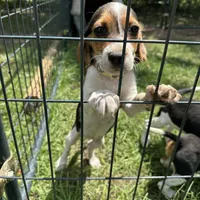 processed/f2502cd2-2de8-44aa-9ed4-24bd2d08ae5a/facility/d9d70adf-228d-4b22-8b91-f3762b27bc5b