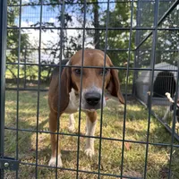 processed/f2502cd2-2de8-44aa-9ed4-24bd2d08ae5a/facility/df9f6a57-c970-42e9-9fc9-a5d6c394bb5b