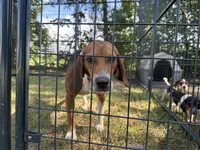 processed/f2502cd2-2de8-44aa-9ed4-24bd2d08ae5a/facility/df9f6a57-c970-42e9-9fc9-a5d6c394bb5b