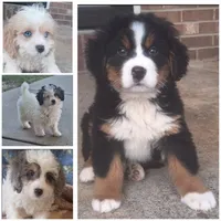 processed/f254bfc5-fc4c-4864-9bf5-1bd3a0e0c394/facility/6d0fbc02-02c0-4950-9c77-8603b1416160