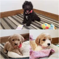 processed/f254bfc5-fc4c-4864-9bf5-1bd3a0e0c394/facility/f96bbe76-92bb-4f50-9120-2c7896b1438c