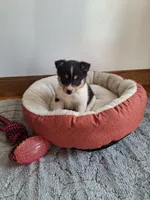 processed/f254bfc5-fc4c-4864-9bf5-1bd3a0e0c394/listing/65ddd513-6ece-4996-9940-ffbd0a1589ec/7207d154-5c61-4166-b853-9fc08c36e9f7