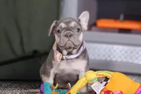 processed/f2559135-6bec-40e7-b1a2-0b8433980f3e/listing/ffe969cf-7627-46bf-9cf0-2b28c05ae89d/15721c22-7fdf-48e3-8432-a3ec009ca9b0