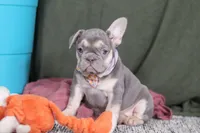 processed/f2559135-6bec-40e7-b1a2-0b8433980f3e/listing/ffe969cf-7627-46bf-9cf0-2b28c05ae89d/ec0769db-8982-4655-ada3-3203b03a42d3