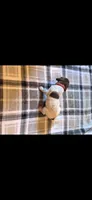 Red Male, a male German Shorthaired Pointer for sale in Appomattox, VA – 2 of 6