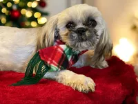 processed/f256ef55-e0a9-44fc-9e18-7c10a77299cc/listing/6b94147c-baef-457c-a05b-5f9eded7548e/639c82d1-aaf0-4c87-944f-347df9a241be