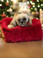 processed/f256ef55-e0a9-44fc-9e18-7c10a77299cc/listing/6b94147c-baef-457c-a05b-5f9eded7548e/6d7823fd-5cb8-4c64-a3c0-3ffbafc967ba