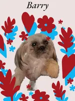 processed/f256ef55-e0a9-44fc-9e18-7c10a77299cc/listing/6b94147c-baef-457c-a05b-5f9eded7548e/9e108713-4564-4d4a-b527-f3a98df85826