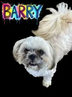 processed/f256ef55-e0a9-44fc-9e18-7c10a77299cc/listing/6b94147c-baef-457c-a05b-5f9eded7548e/bd2c4e64-2fc9-4efc-a150-0f48eb4c2baf