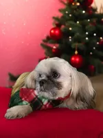 processed/f256ef55-e0a9-44fc-9e18-7c10a77299cc/listing/6b94147c-baef-457c-a05b-5f9eded7548e/fc2f0eb2-d661-4667-85d9-3be81de8c80c