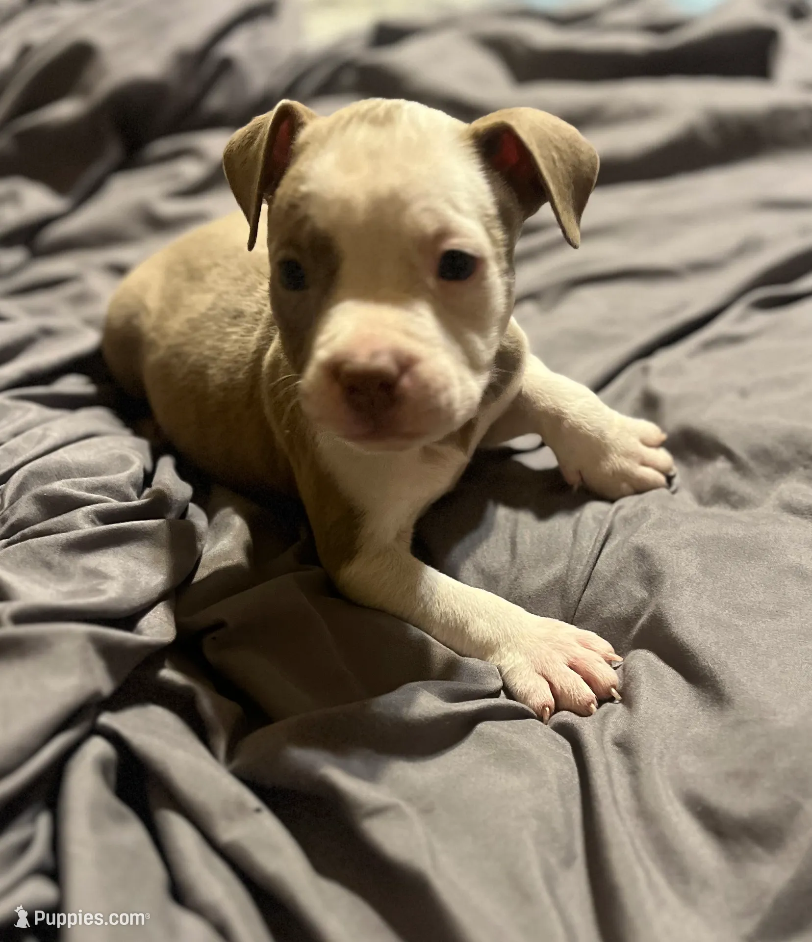 processed/f2621b02-854d-455b-b41c-82eca426aed3/listing/1f76e905-f6cf-4300-8e3e-6a57c3df7310/0e63b589-e28f-49cd-b042-f4550c447fff