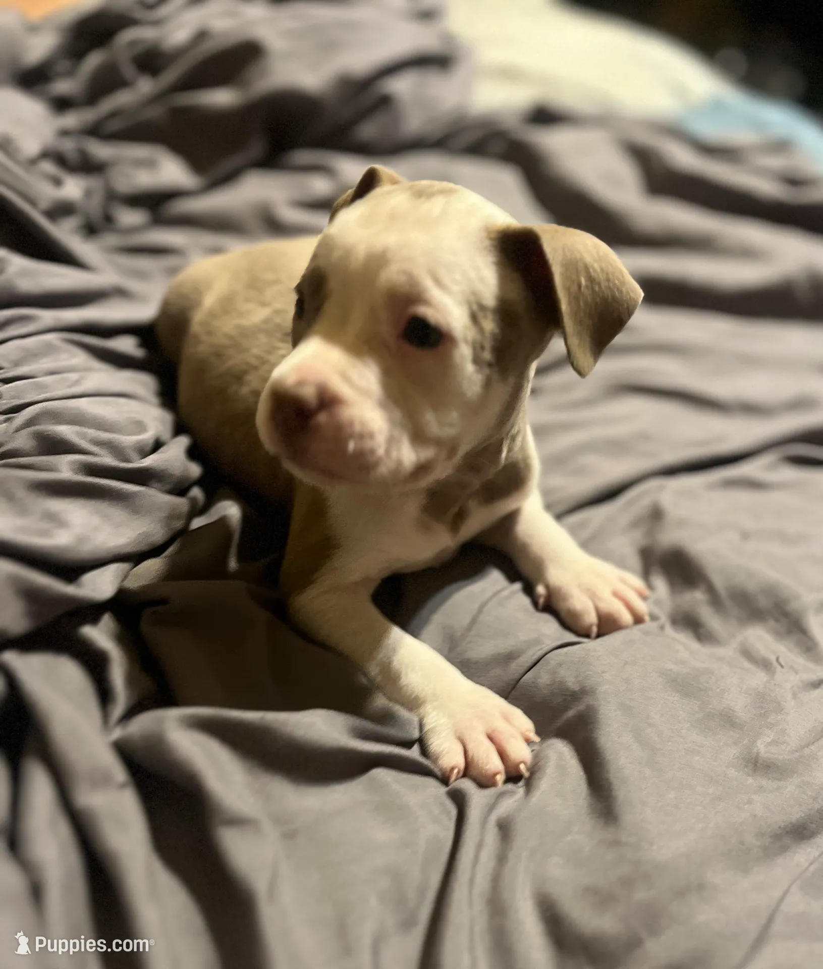 processed/f2621b02-854d-455b-b41c-82eca426aed3/listing/1f76e905-f6cf-4300-8e3e-6a57c3df7310/5fec3aa6-0c0d-424d-be65-f03cce60963f