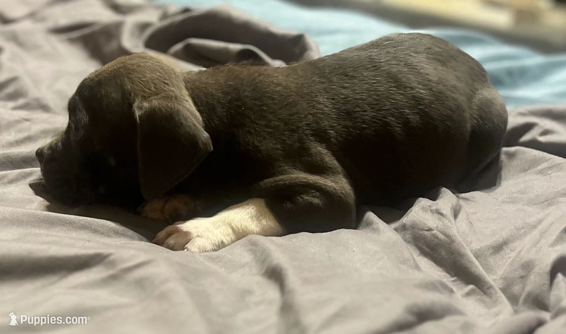 processed/f2621b02-854d-455b-b41c-82eca426aed3/listing/8aa751d8-b84f-441d-aadd-8fd8dafd2c0b/1d34393d-6692-46ff-a8fb-9d20cd90babd