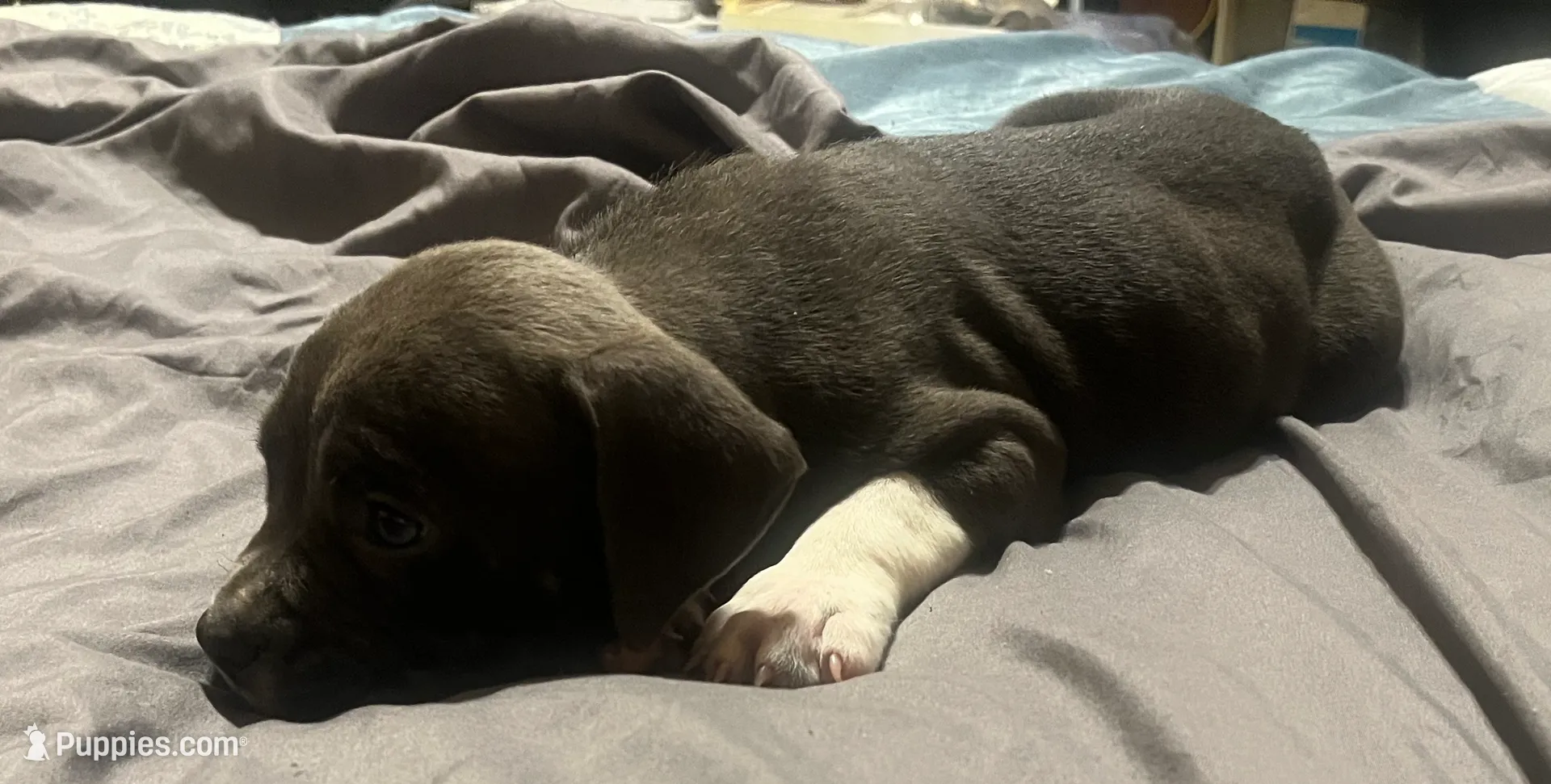 processed/f2621b02-854d-455b-b41c-82eca426aed3/listing/8aa751d8-b84f-441d-aadd-8fd8dafd2c0b/ae2cf586-d998-47e7-bd2d-24e39d1040c1