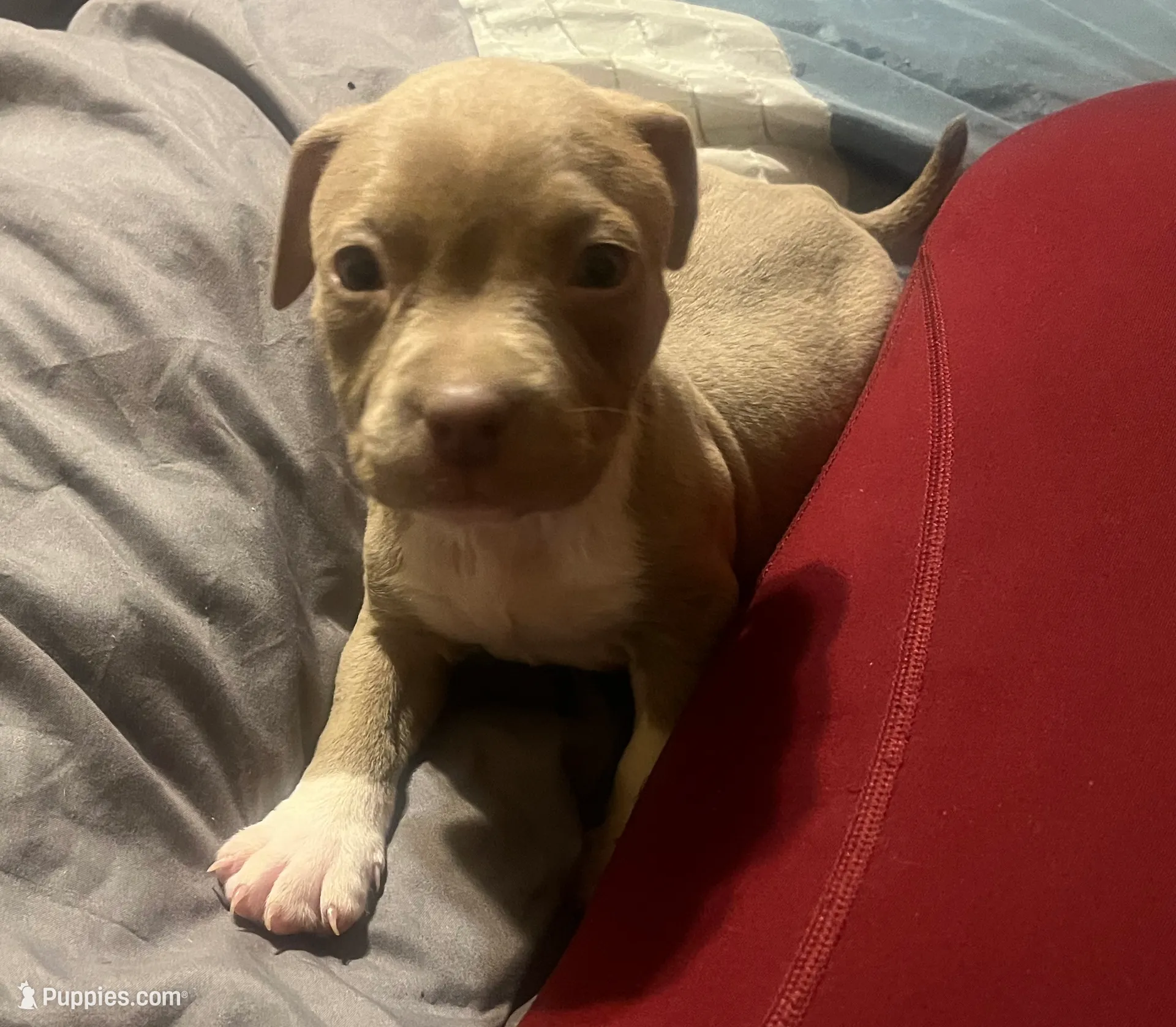 processed/f2621b02-854d-455b-b41c-82eca426aed3/listing/e4b6034c-cf75-4562-bc40-c45e6ea22c96/84a726c6-3853-4afe-ba21-3ae0153bab0d