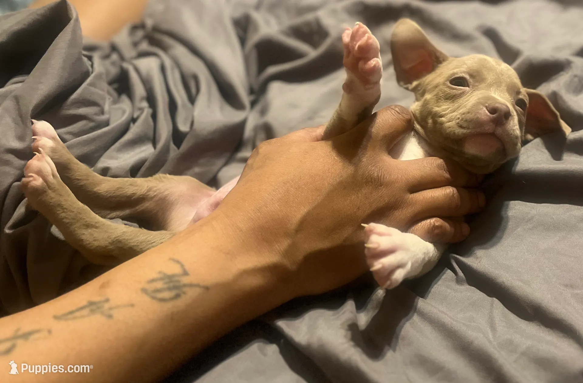 processed/f2621b02-854d-455b-b41c-82eca426aed3/listing/e4b6034c-cf75-4562-bc40-c45e6ea22c96/91538075-fecb-4e19-843c-a8425db39374