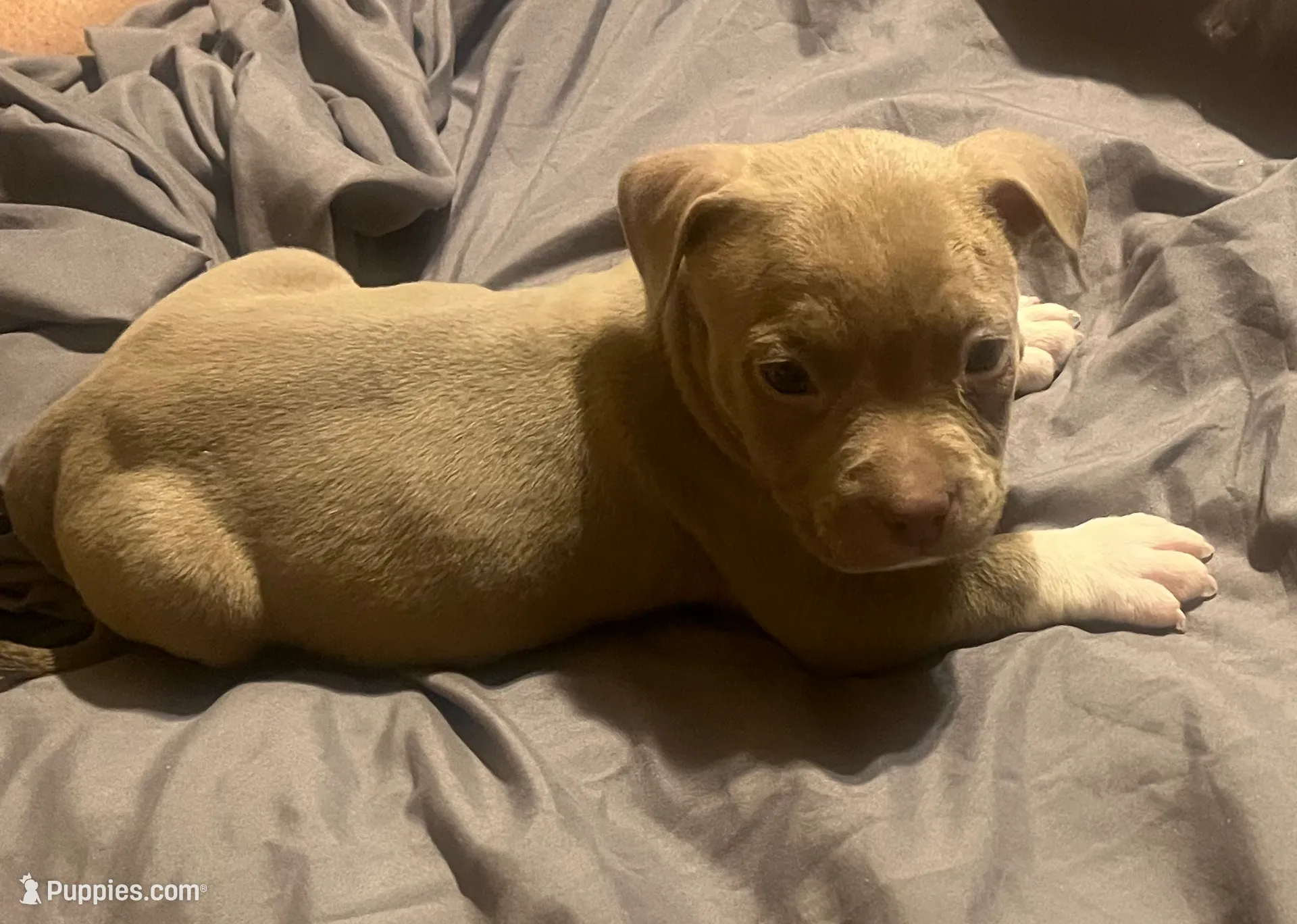 processed/f2621b02-854d-455b-b41c-82eca426aed3/listing/e4b6034c-cf75-4562-bc40-c45e6ea22c96/d377ed8c-286b-4739-9fb4-11f97c6db4ab