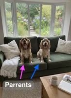 processed/f270a5a1-78ba-4b02-aef1-2c384a516855/listing/2b05f2f7-31aa-4f90-ae7b-0e209489970d/7387e654-e608-4b77-8a8b-8042a569cba7