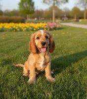 processed/f270a5a1-78ba-4b02-aef1-2c384a516855/listing/4278d298-54af-4361-8553-c8d7289c432c/ed7cc5cc-309d-4968-a947-ea60193045f6