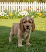 processed/f270a5a1-78ba-4b02-aef1-2c384a516855/listing/59b338e7-2d60-495c-9561-811a47784415/a1fcdca8-6b2b-43fe-88e8-d36e727c38d2