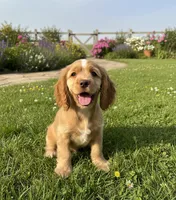 processed/f270a5a1-78ba-4b02-aef1-2c384a516855/listing/a60f6fd8-b6ca-4854-b5a4-5df94d3dde7c/67f2cc68-d59b-4479-a430-0260690e7667